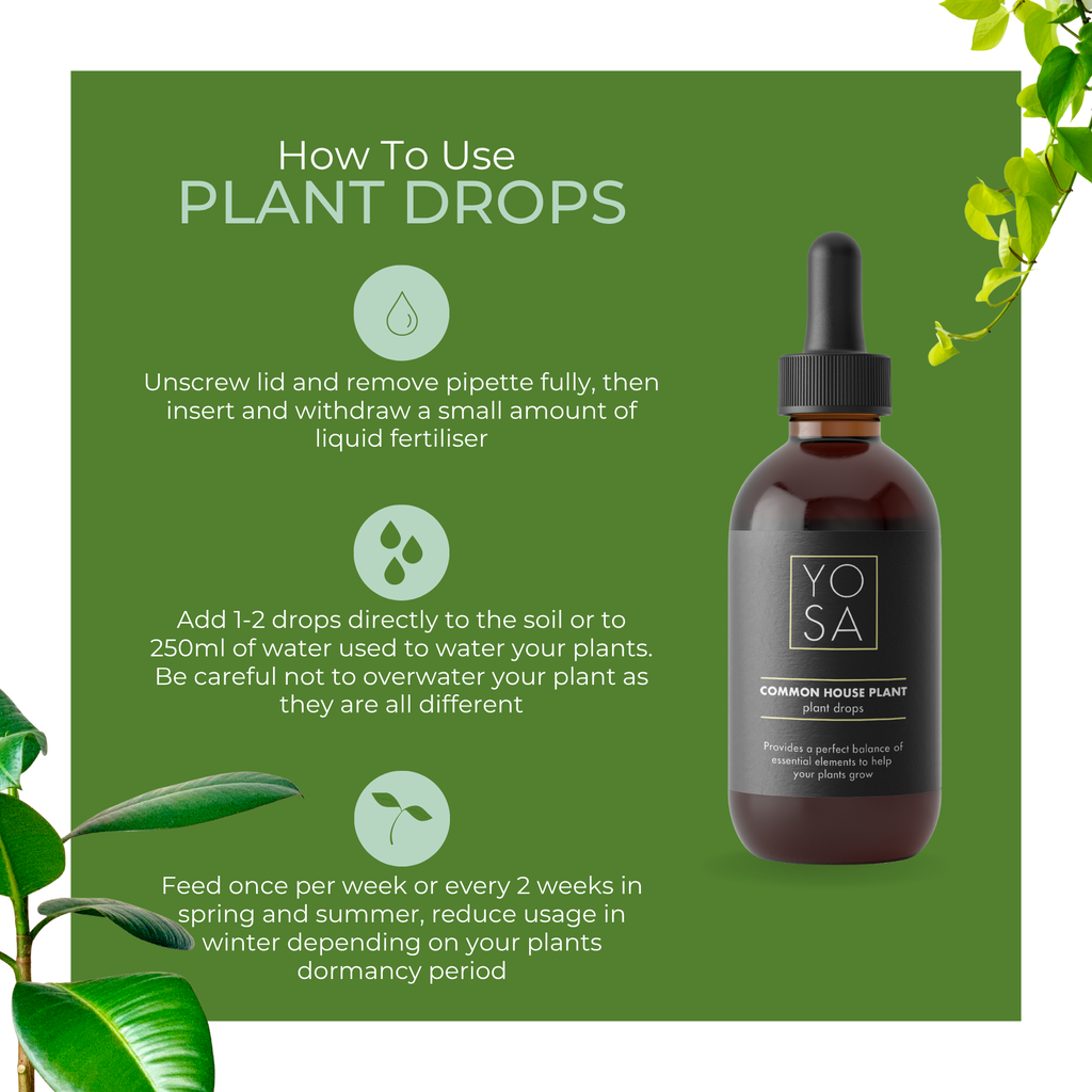 YOSA Common Plant Drops