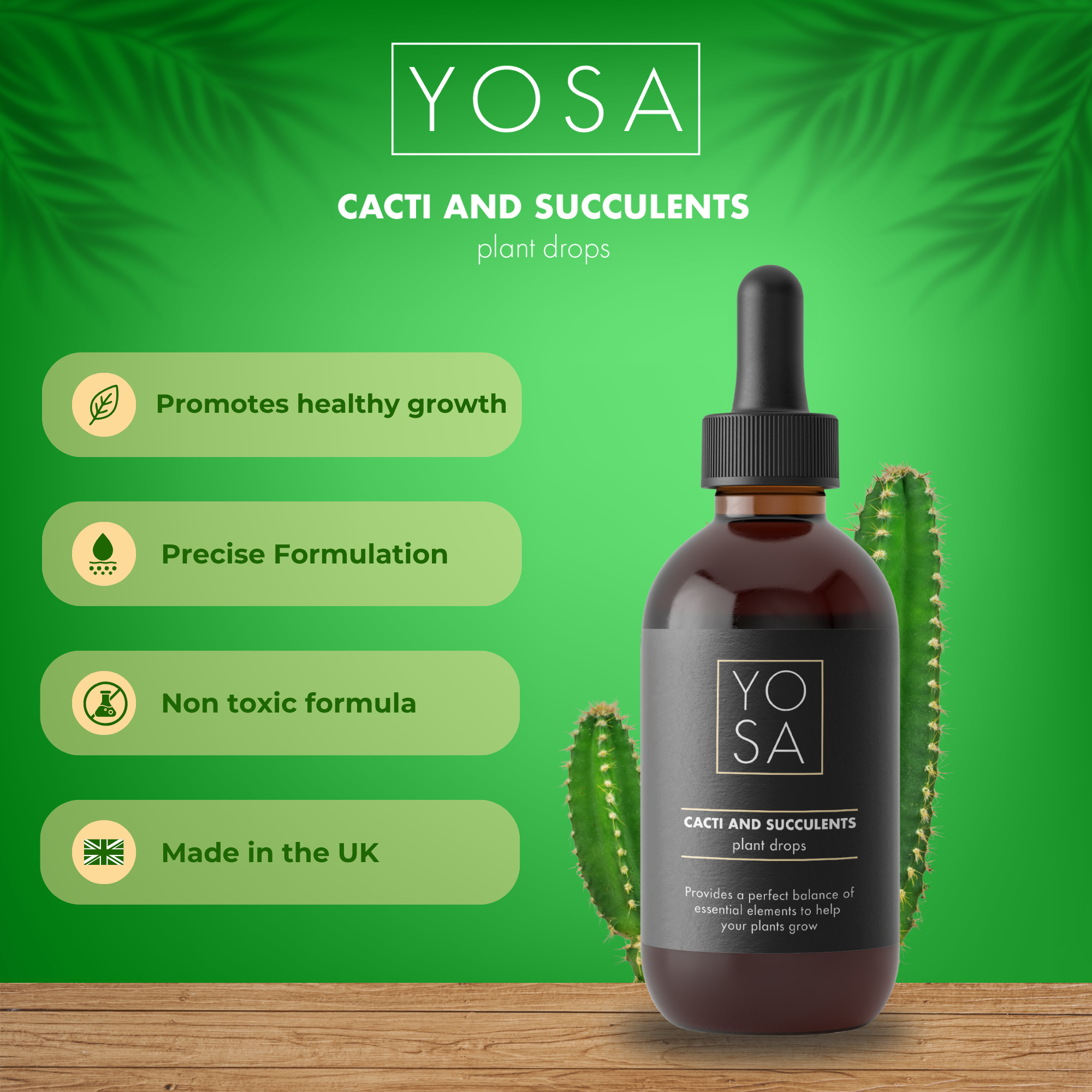 YOSA Cacti & Succulent Plant Drops
