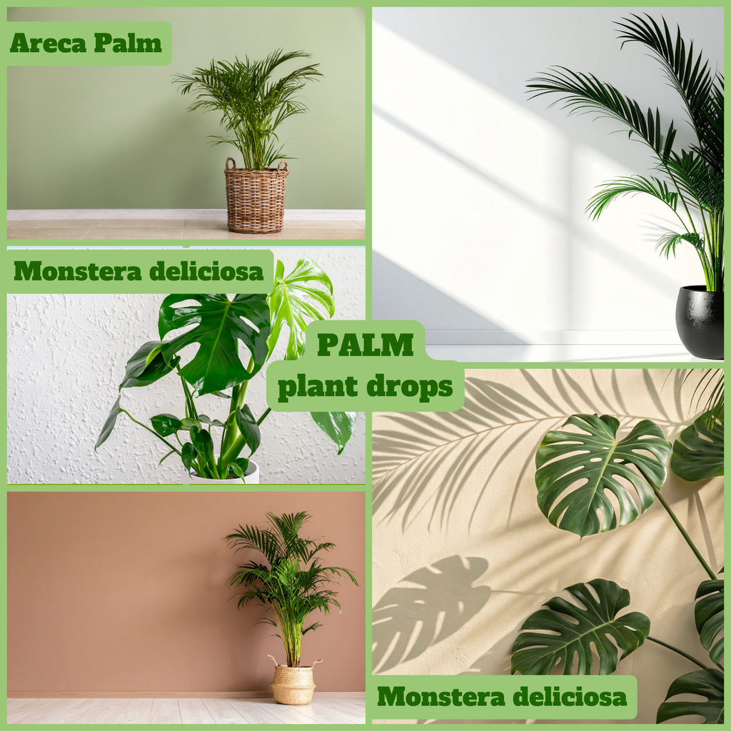 YOSA Palm Plant Drops