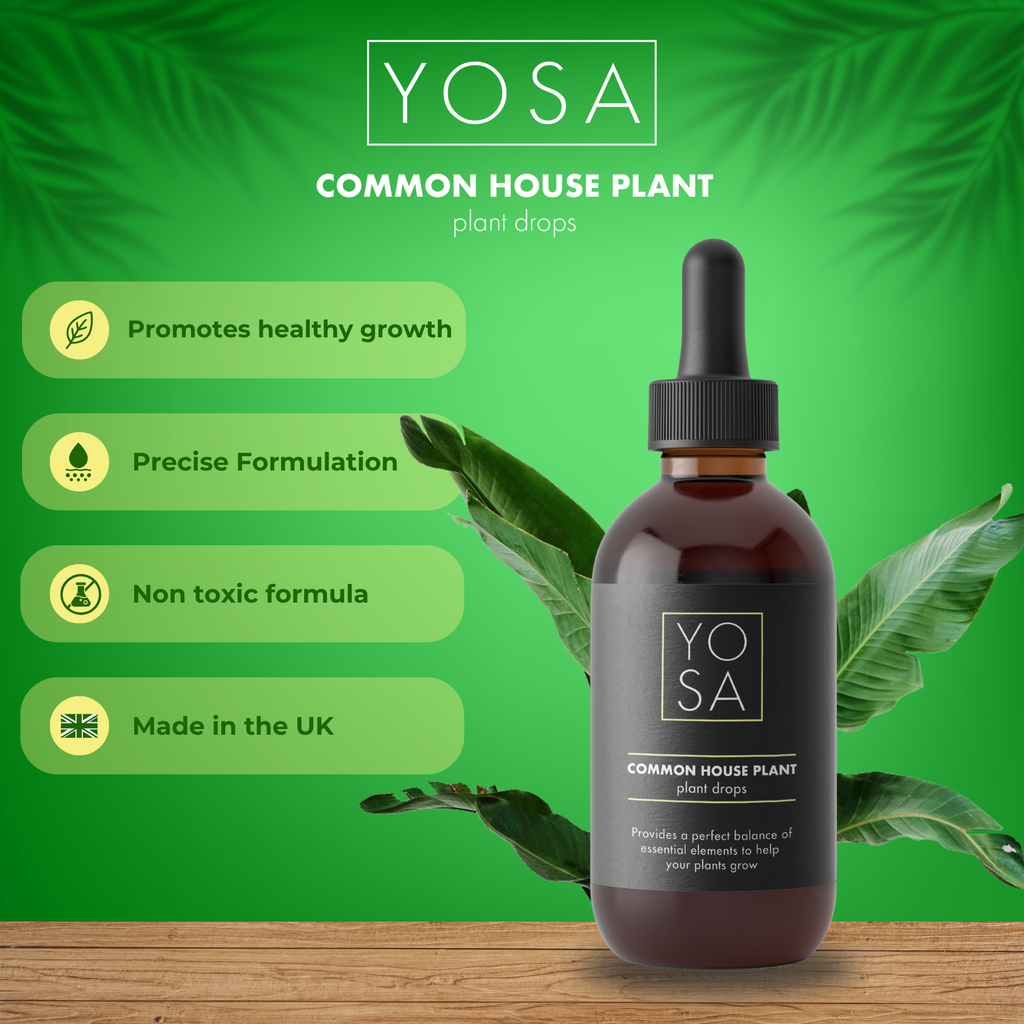 YOSA Common Plant Drops