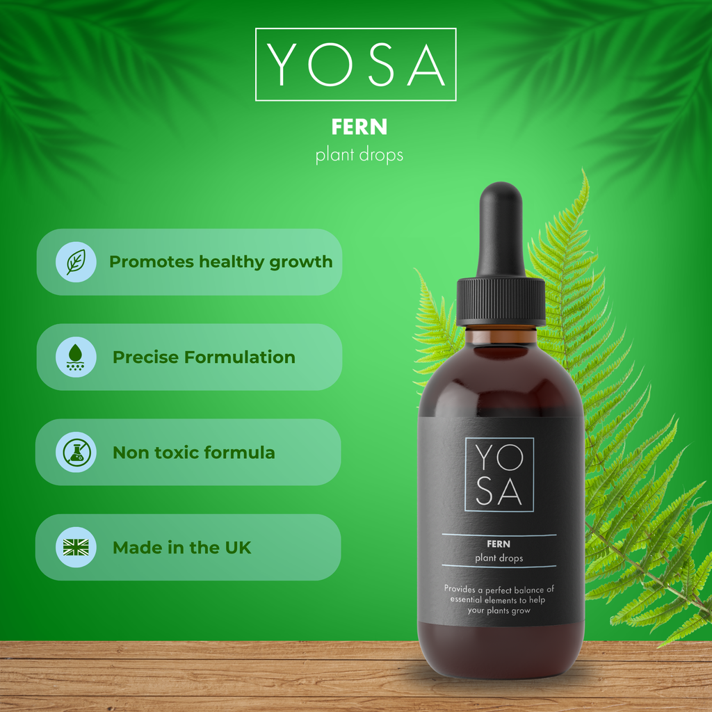YOSA Fern Plant Drops