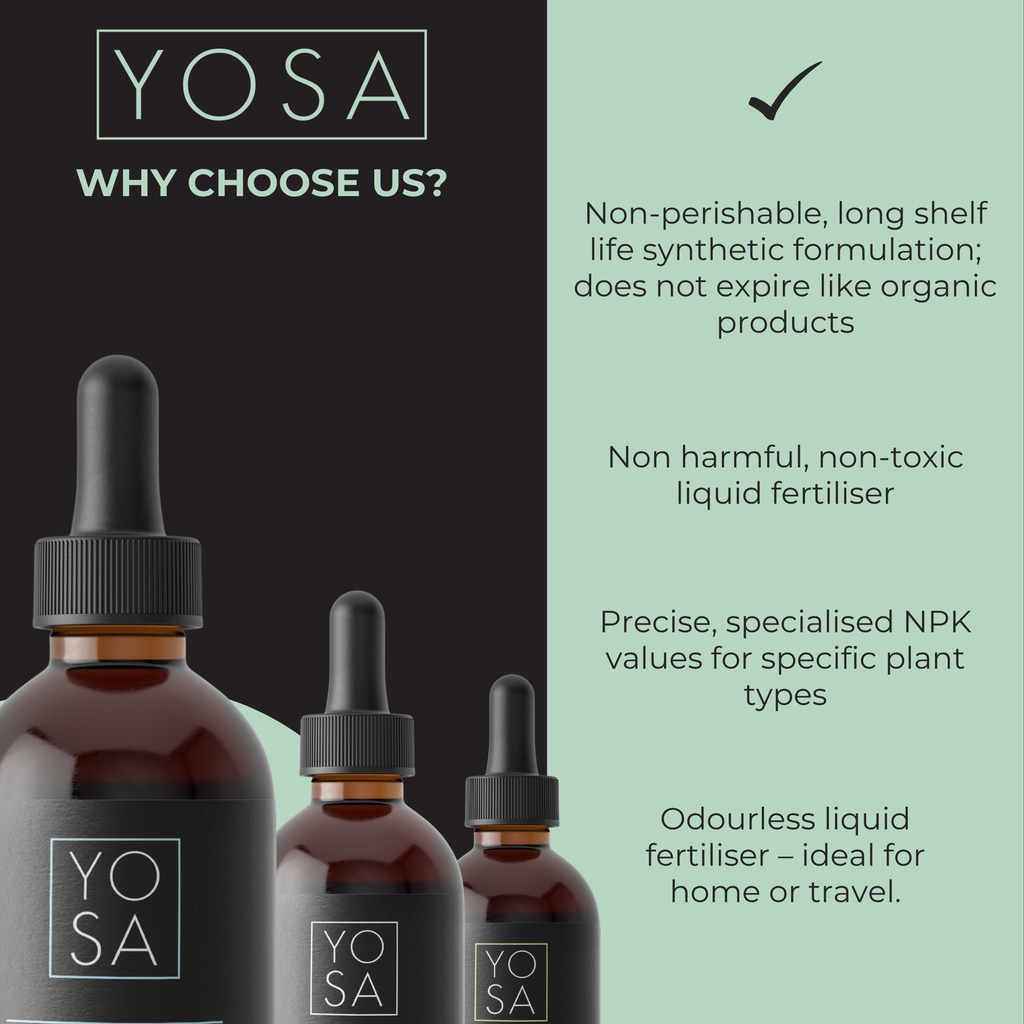 YOSA Fern Plant Drops